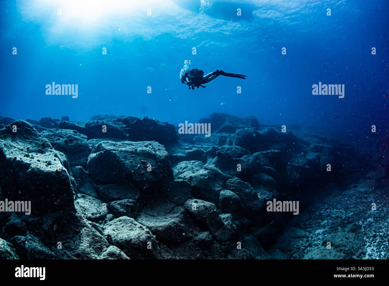 Bilder vom Tauchen auf der Insel Mauritius, Tauchplatz Whale Rock, Pereybere Stockfoto
