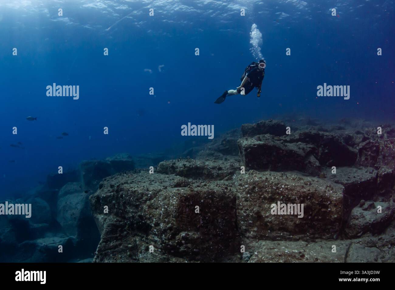 Bilder vom Tauchen auf der Insel Mauritius, Tauchplatz Whale Rock, Pereybere Stockfoto