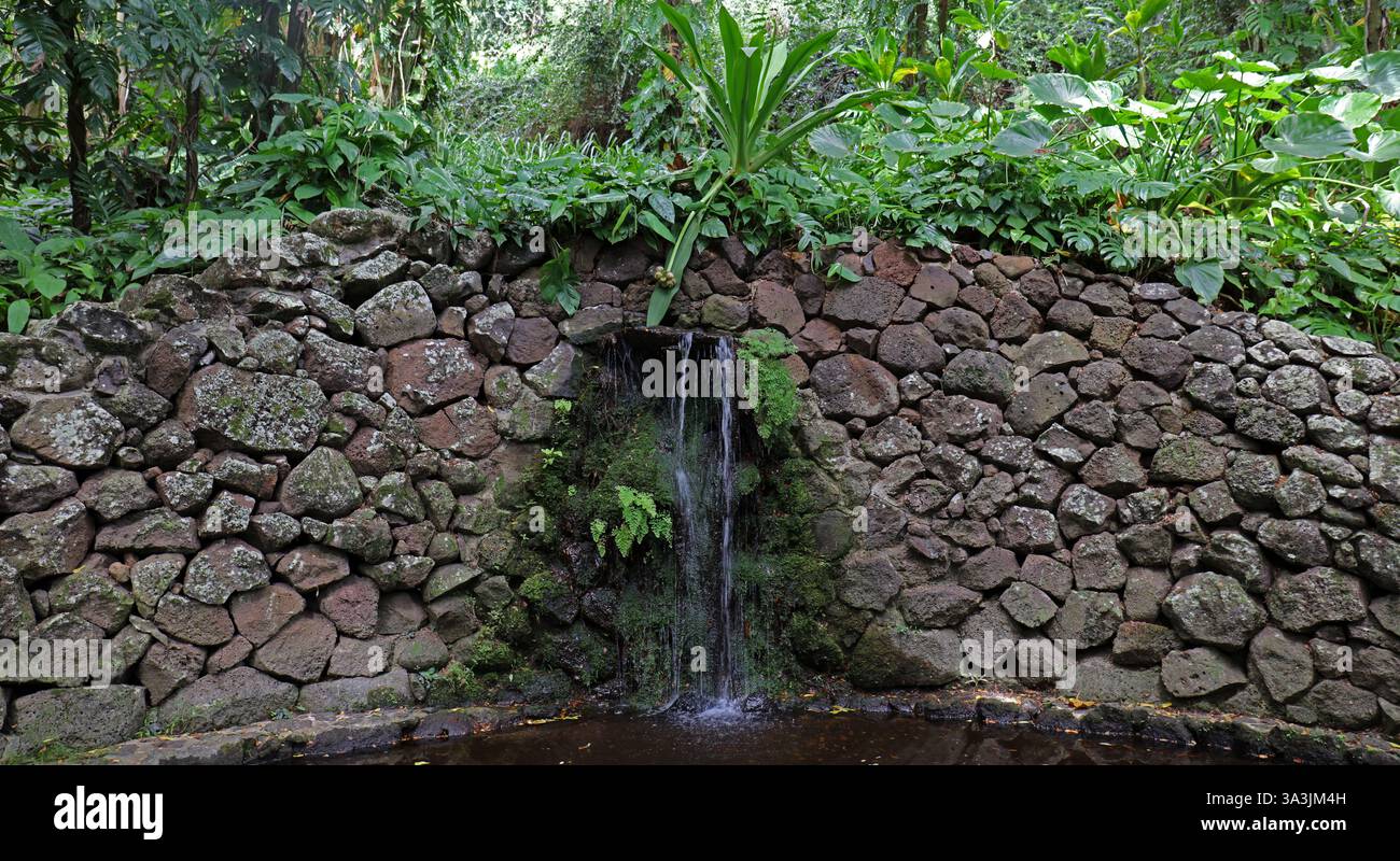 Eine knstliche Mauer aus vulkanischem Gestein, gekrnt von tropischen  Pflanzen und Bumen, mit einem Wasserfall, der sich in einen Teich ergiet,  in Kauai, Hawaii, USA Stockfotografie - Alamy