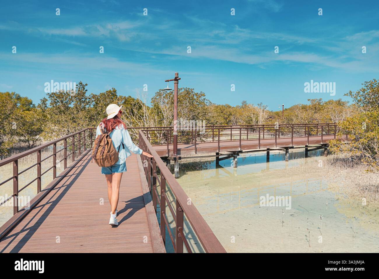 Frau genießt einen Spaziergang auf einer hölzernen Promenade, umgeben von üppigem Grün und klarem Wasser, unter einem hellblauen Himmel in einem Naturschutzgebiet Stockfoto