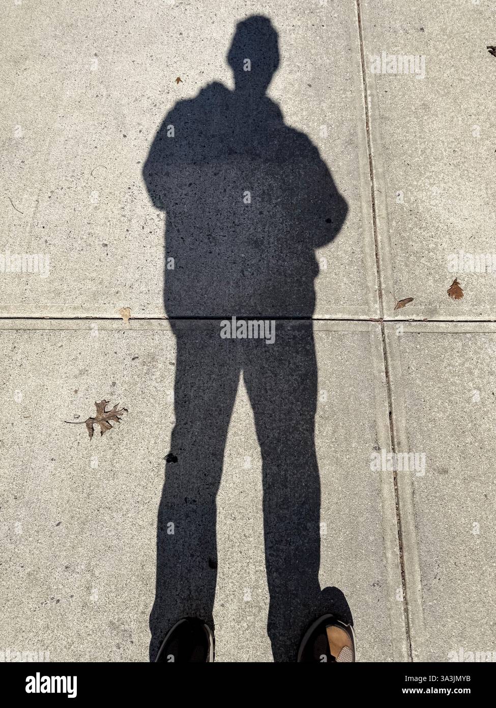 ESidewalk Schatten mit Eichenlaub in Long Island City, Queems, New York, USA Stockfoto