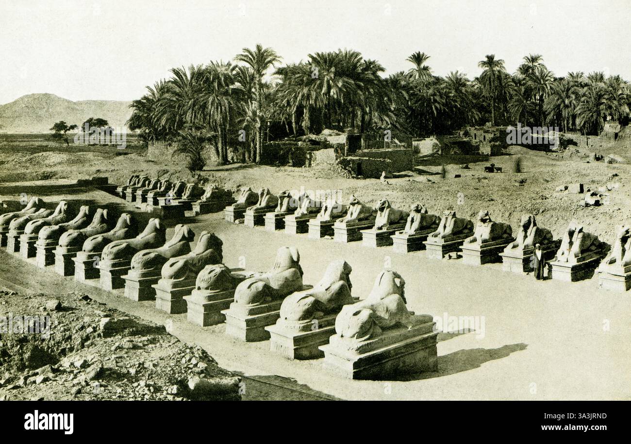Dieses Foto aus dem Jahr 1925 zeigt Amuns heilige Straße, gesäumt von Widdern, die zum Tempel in Karnak in Theben führt. Es wird angenommen, dass dies der älteste Teil des prozessionalen Weges ist, der die Tempel von Karnak und Luxor verbindet. Die Straße ist gesäumt mit Figuren von sitzenden Widdern (siehe hier). Nicht wirklich Sphinxe, die Widderstatuen sind größer als die Criosphinxe (mythische Kreaturen mit den Körpern eines Löwen und dem Kopf eines Widders oder Gottes) der anderen Alleen. Jeder trägt die Kartusche von Pinudjem I. auf dem Sockel, aber es ist bekannt, dass sie das Werk von Amenhotep III. Sind Stockfoto