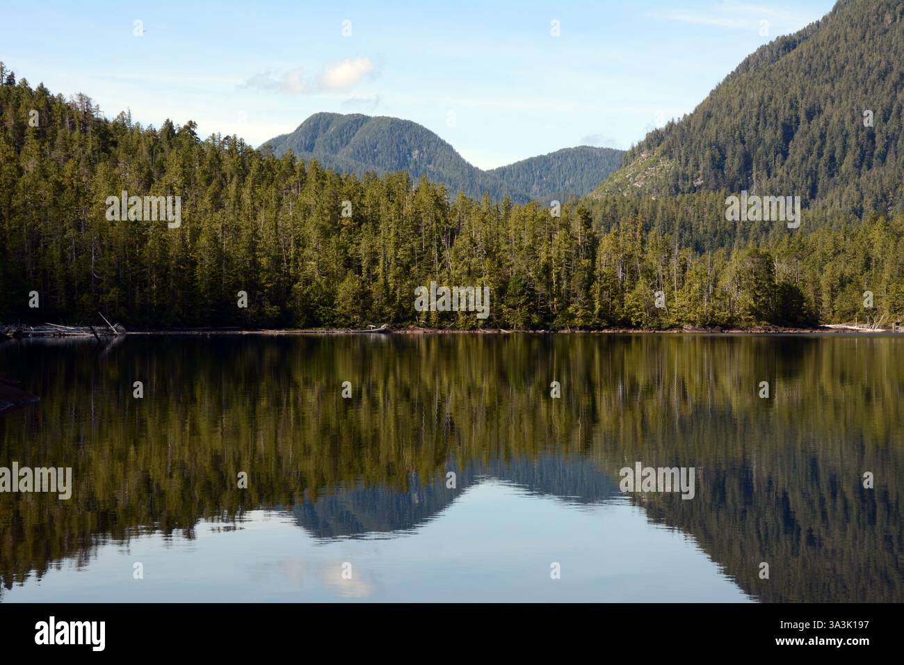 Berge und Wälder spiegeln sich in den stillen Gewässern eines Sees in der Great Bear Rainforest Region an der zentralen Küste von British Columbia, Kanada. Stockfoto