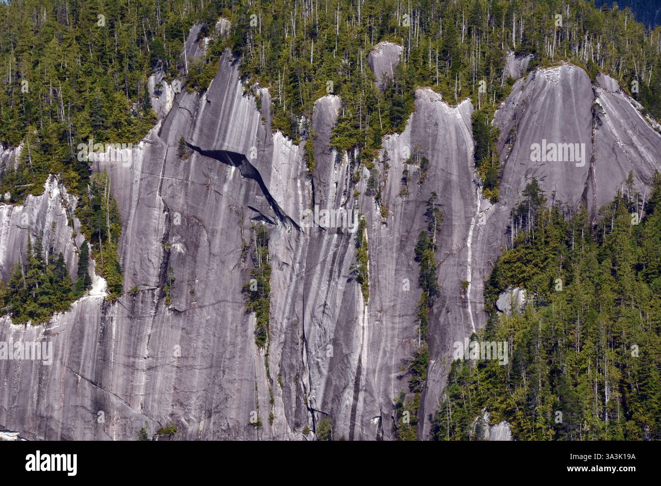 Ein felsiger Hügel aus magmatischem Gestein, der Gletscherstreifen oder Abschürfungen am Ellerslie Lake an der zentralen Küste von British Columbia, Kanada, zeigt. Stockfoto