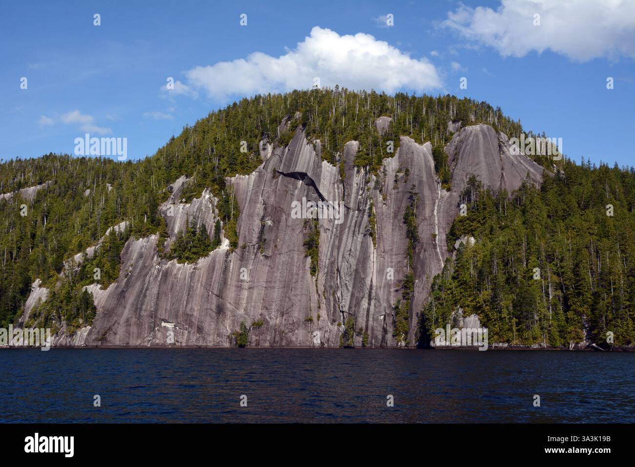 Ein felsiger Hügel aus magmatischem Gestein, der Gletscherstreifen oder Abschürfungen am Ellerslie Lake an der zentralen Küste von British Columbia, Kanada, zeigt. Stockfoto