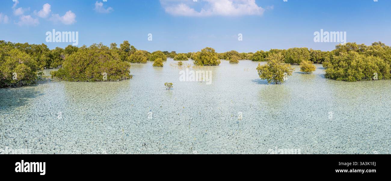Aus der Vogelperspektive auf einen malerischen Mangrovenwald, der sich in flachen türkisfarbenen tropischen Gewässern unter blauem Himmel spiegelt Stockfoto