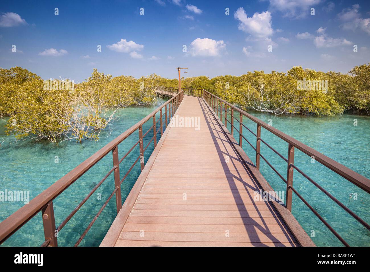 Malerischer Blick auf eine hölzerne Promenade, die sich durch einen lebhaften Mangrovenwald mit türkisfarbenem Wasser im Mangrovenpark in Abu Dhabi erstreckt Stockfoto