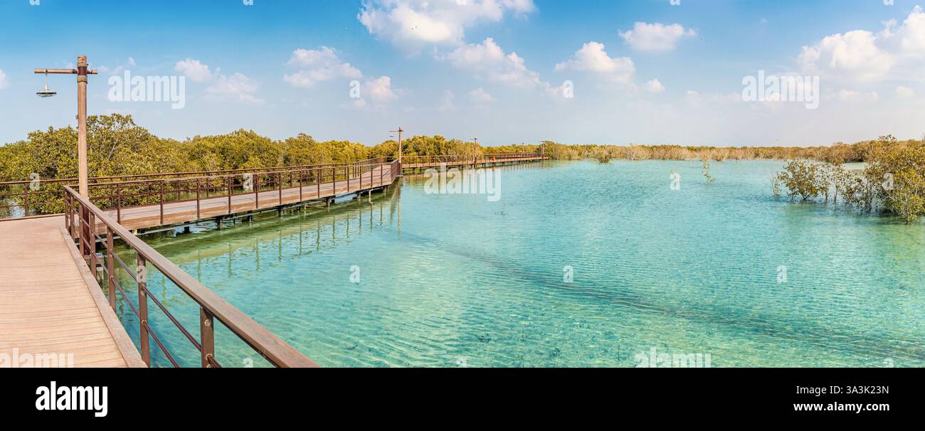 Malerischer Blick auf eine hölzerne Promenade, die sich durch einen lebhaften Mangrovenwald mit türkisfarbenem Wasser im Mangrovenpark in Abu Dhabi erstreckt Stockfoto