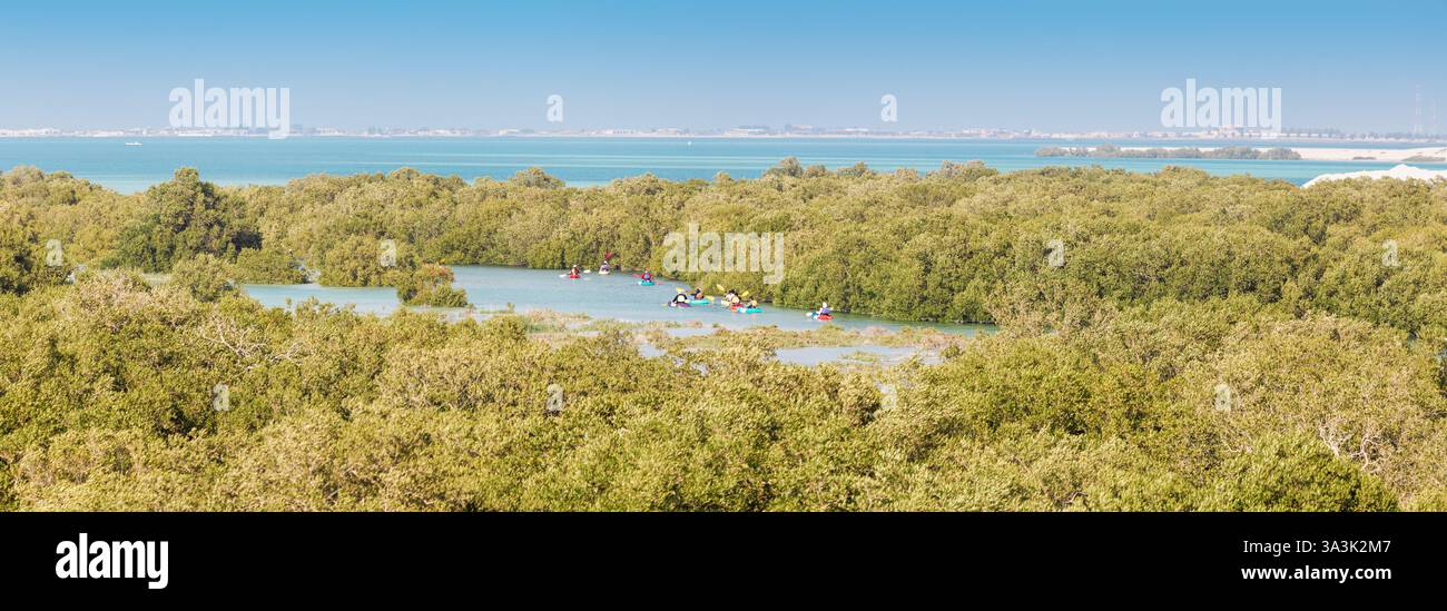 Touristen Kajakfahren im türkisfarbenen Wasser des Mangrovenparks in Abu Dhabi Stockfoto