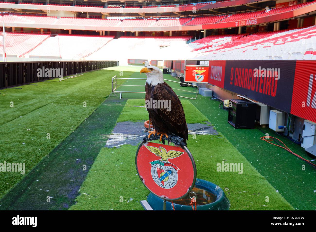 Lissabon, Portugal - Mai 09,2024: Eagle ist das Maskottchen des portugiesischen Fußballvereins S. L. Benfica. Vor jedem Benfica-Match im Estadio da Luz, dem EA Stockfoto