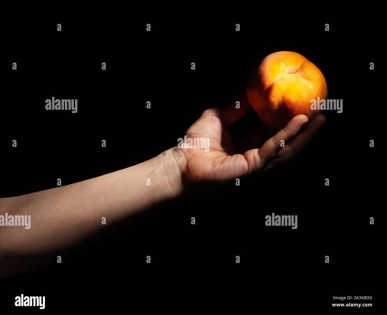 Pfirsichfarbene Hand auf schwarzem Hintergrund Stockfoto