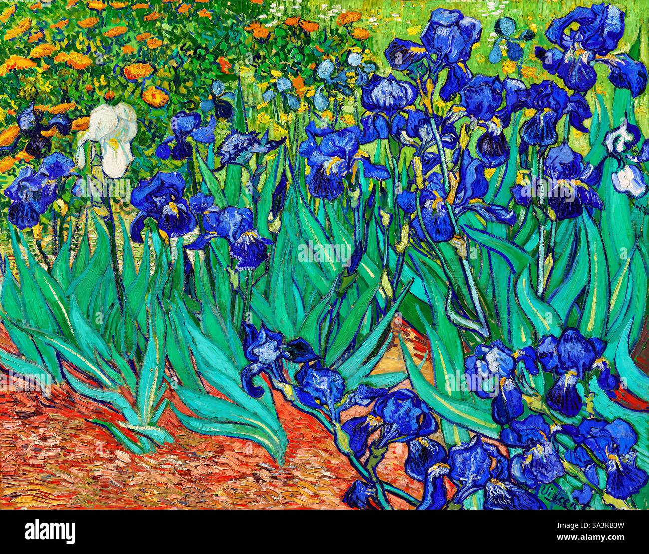 Vincent van Gogh Iises 1889 Gemälde Original im J. Paul Getty Museum Post-Impressionist Floral Masterpiece Public Domain High Resolution Image Stockfoto