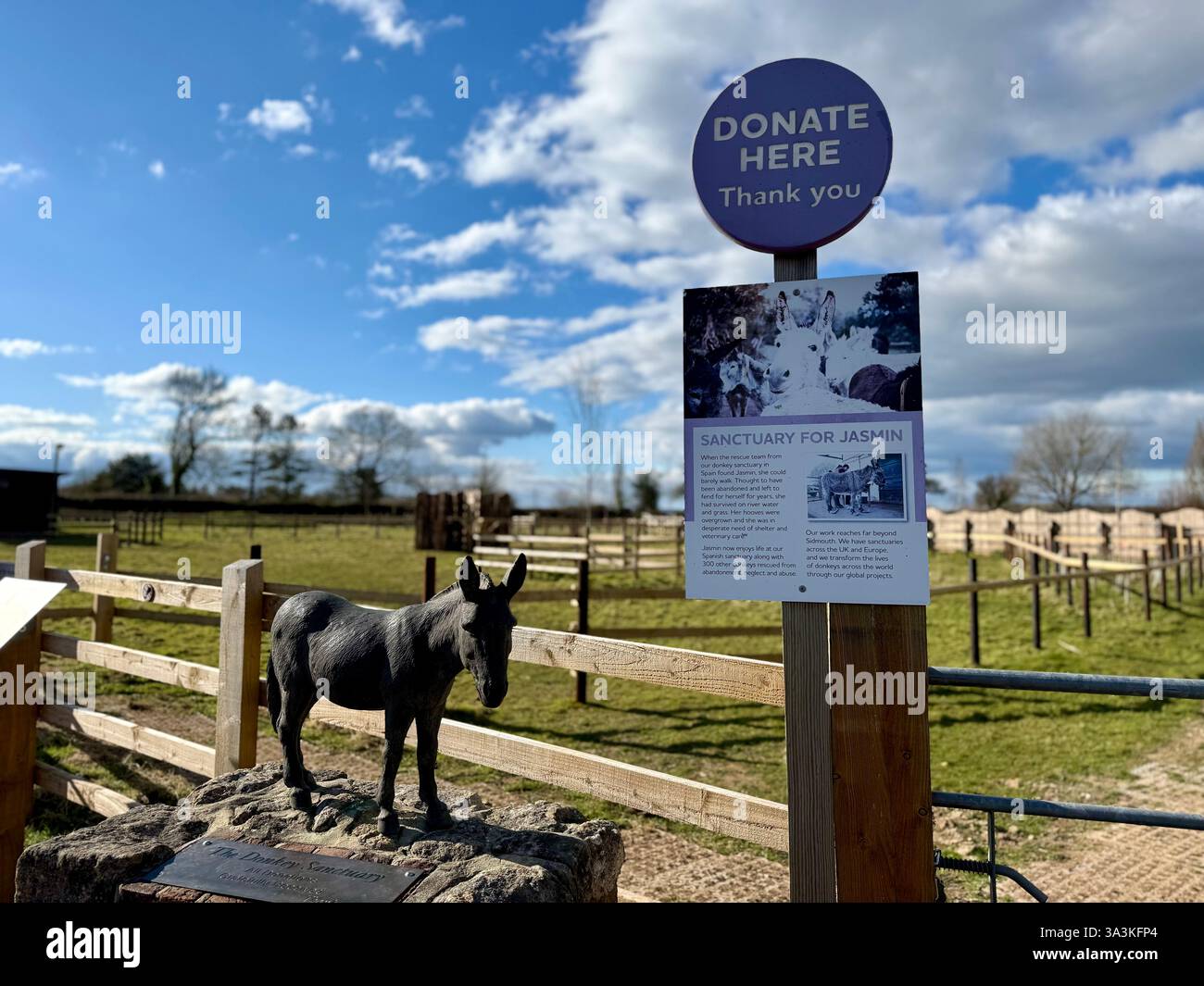 Spende hier - Heiligtum für Jasmin - das Eselsschutzgebiet, Sidmouth, Devon - Smartphone-aufgenommenes Stockfoto