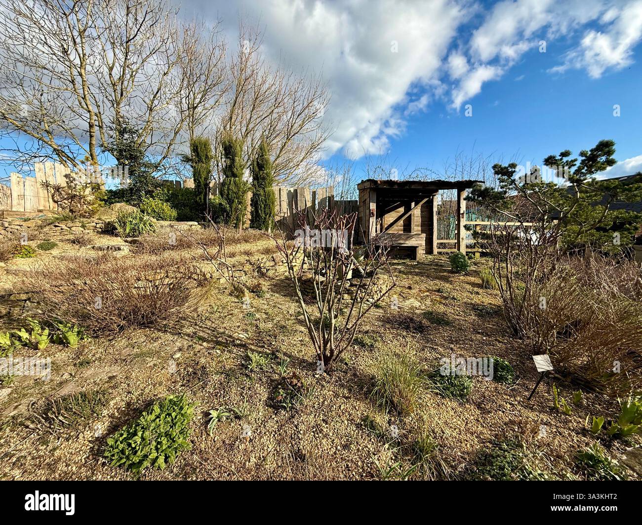 Der 'Esels Matter Garden' - Das Donkey Sanctuary, Sidmouth. People's Choice, RHS Chelsea Flower Show 2019 - 50. Jahrestag des Donkey Sanctuary - Smartphone-aufgenommenes Stockfoto