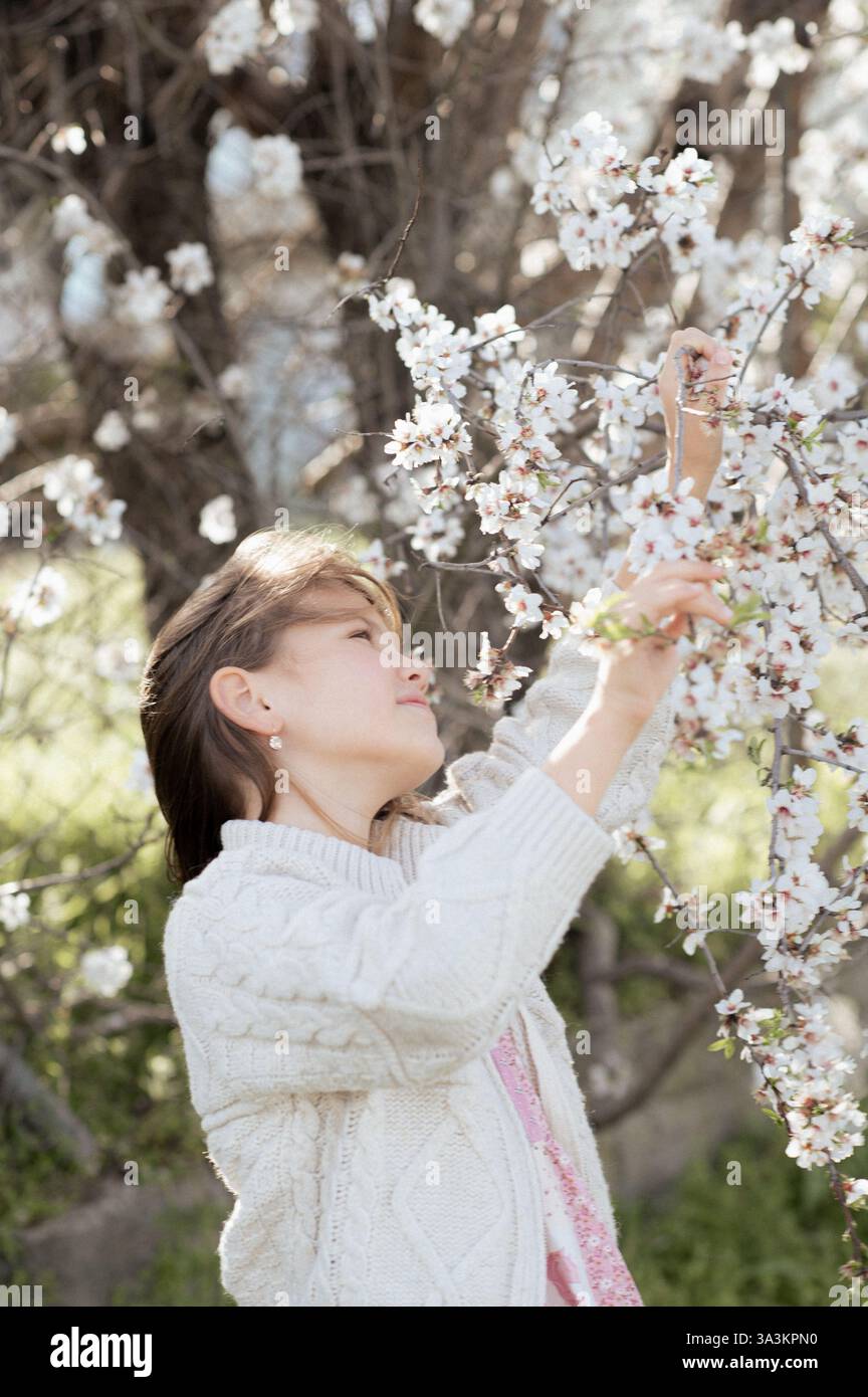 Ein fröhliches Mädchen spielt zwischen blühenden Mandelbäumen, ihr Lachen erfüllt die Frühlingsluft. Stockfoto