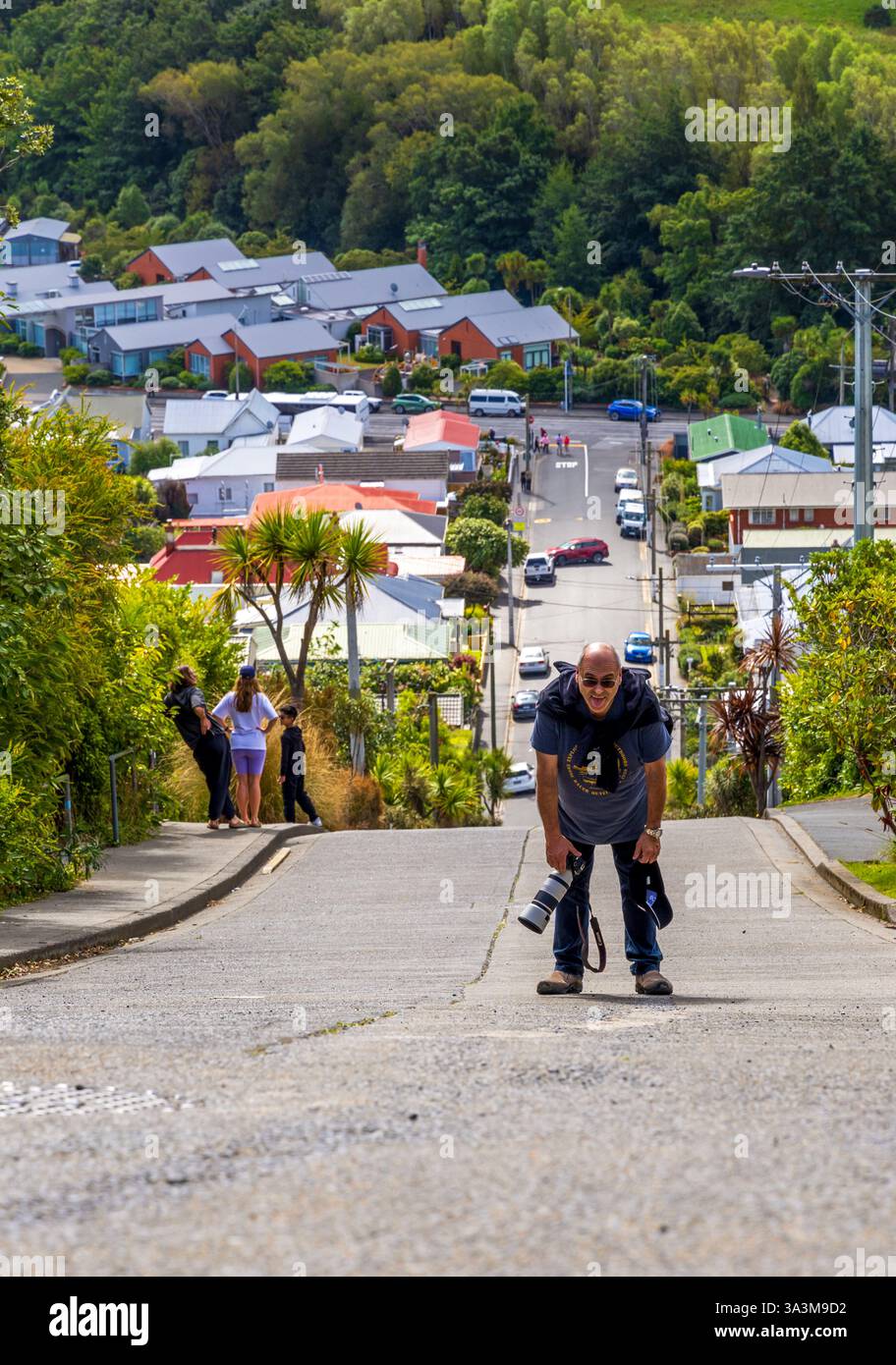 Baldwin Street in Dunedin als steilste Straße der Welt, Neuseeland Stockfoto