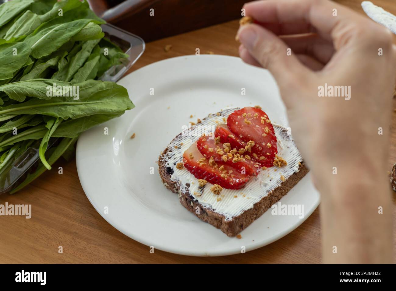 Eine einfache, aber elegante Kreation, bei der eine perfekt geröstete Brotscheibe sanft mit glattem Frischkäse und Reifen Tomatenscheiben bestrichen wird Stockfoto
