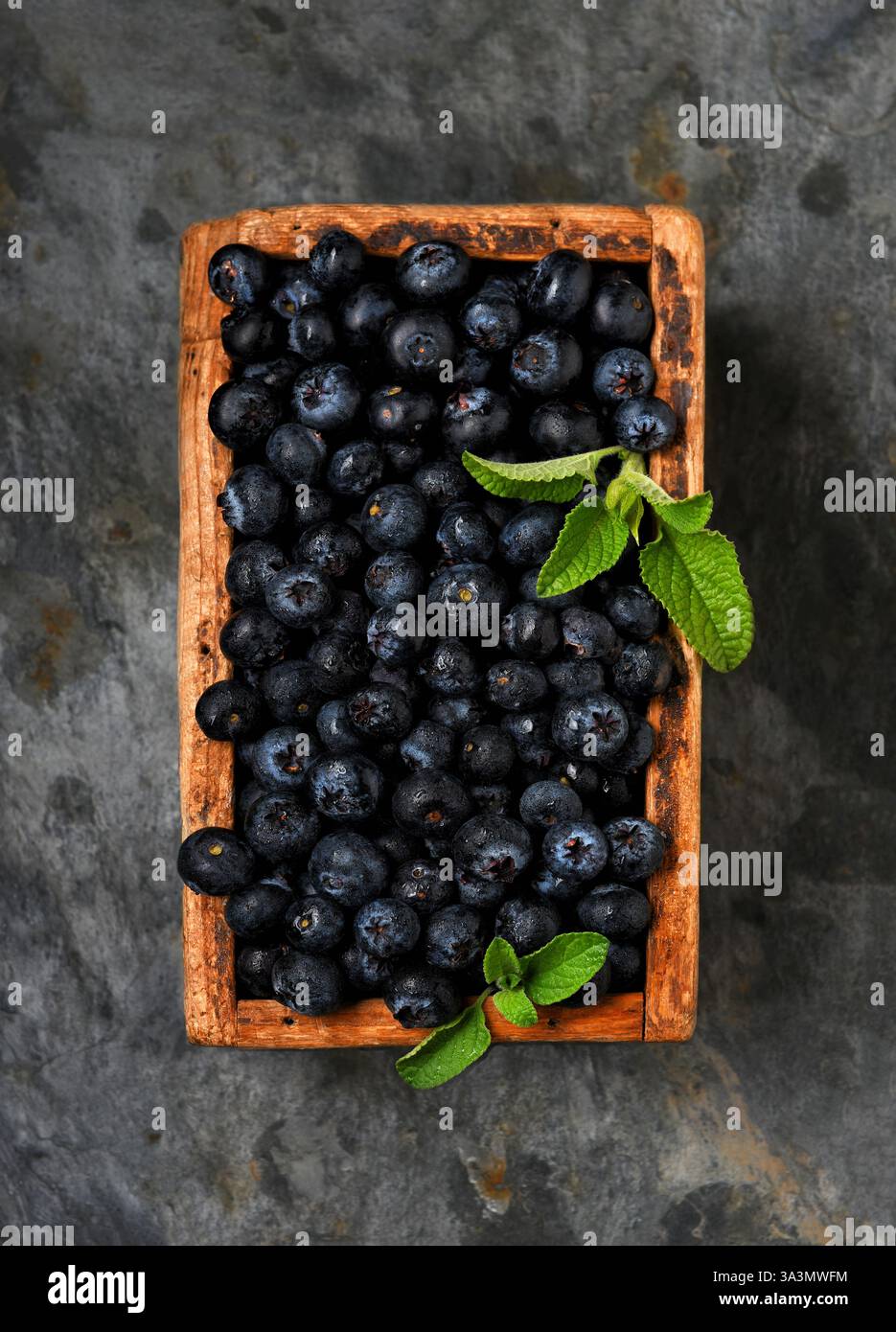 Heidelbeerstillleben. Eine Holzkiste gefüllt mit Reifen, frisch gepflückten Heidelbeeren, fotografiert von oben. Stockfoto