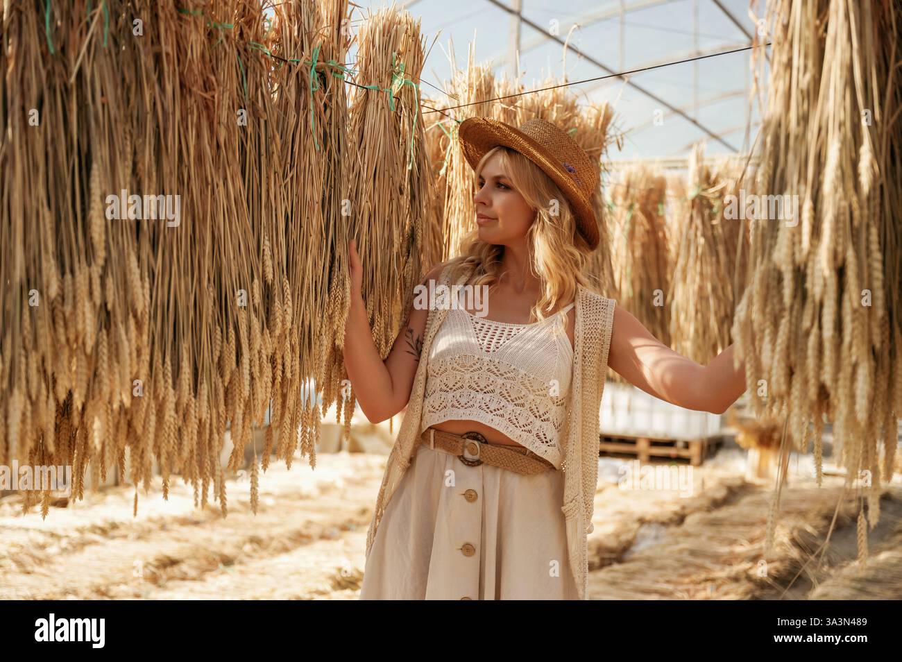 Ein paar getrocknete Pflanzen. Die schöne Frau ist im Gewächshaus. Stockfoto