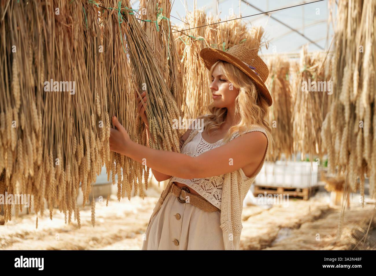 Ein paar getrocknete Pflanzen. Die schöne Frau ist im Gewächshaus. Stockfoto
