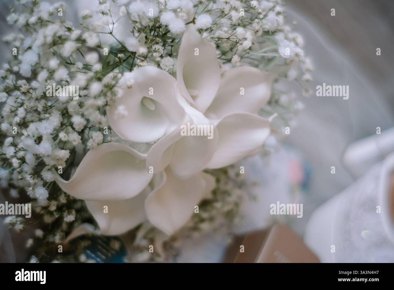 Ein anmutiger Brautstrauß mit eleganten weißen Calla-Lilien, umhüllt von zartem Atem Ihres Babys. Ideal für die Vermittlung von Romantik, Reinheit und Celebrato Stockfoto