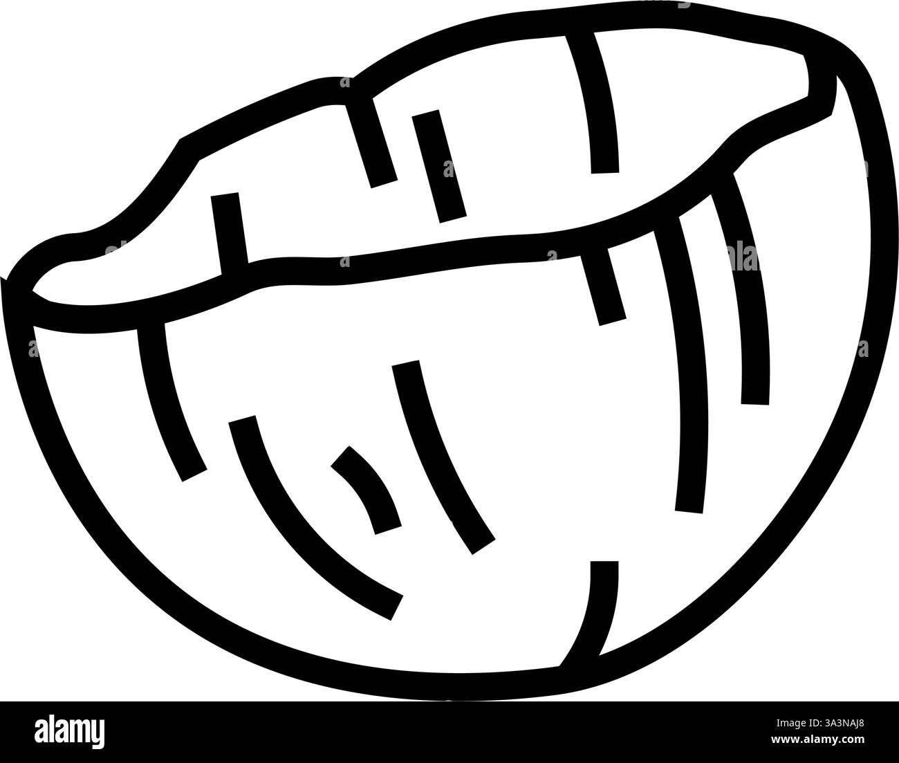 Kokosnussschale nachhaltige Schönheitslinie Symbol Vektor Illustration Stock Vektor