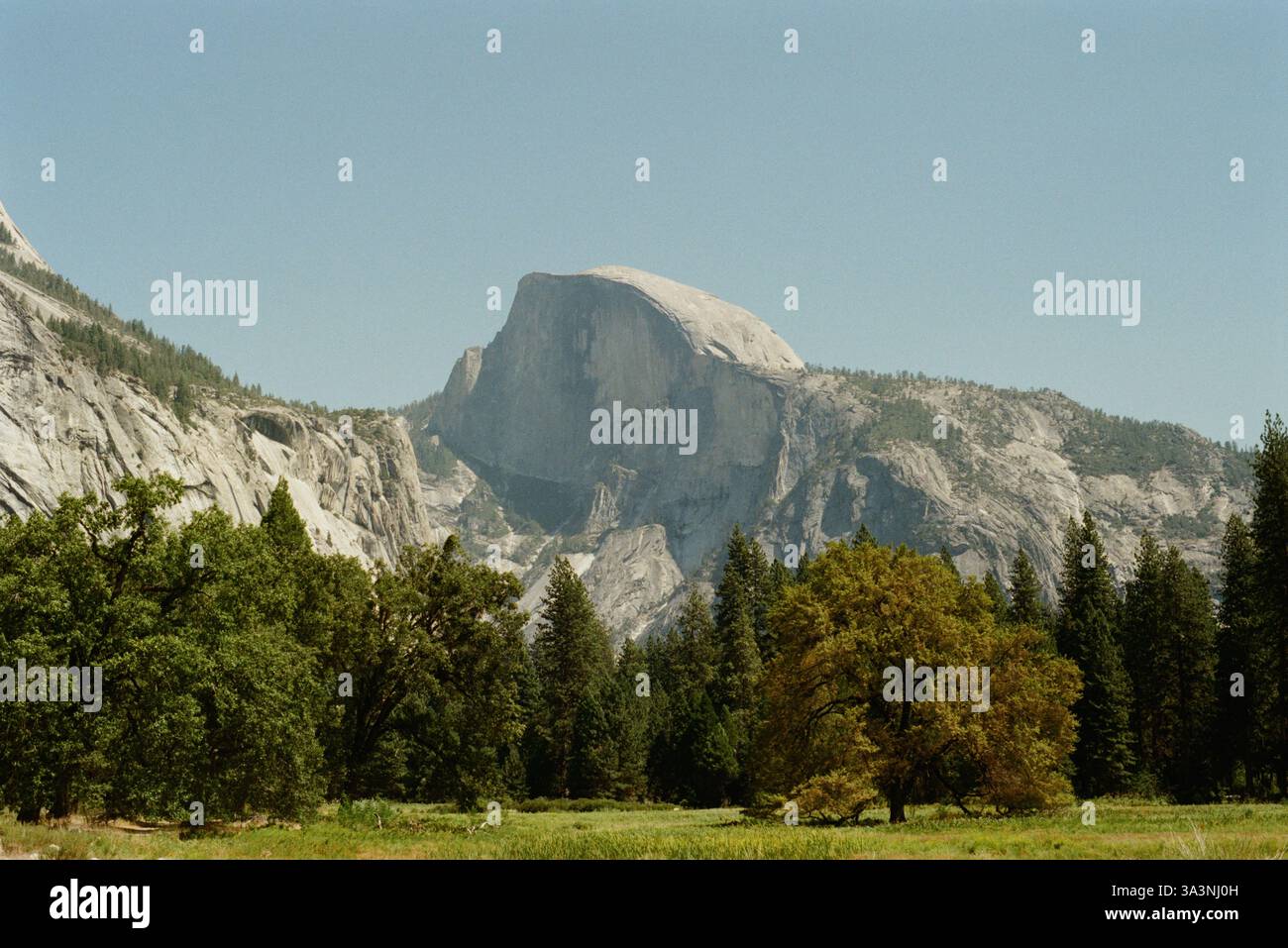 Half Dome an einem warmen Sommermorgen Stockfoto