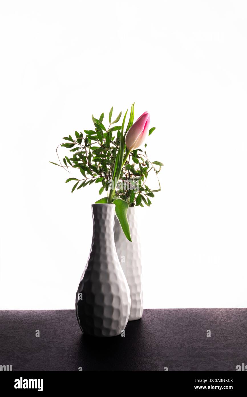 tulpe in Vase vor weißem Hintergrund 1 Stockfoto