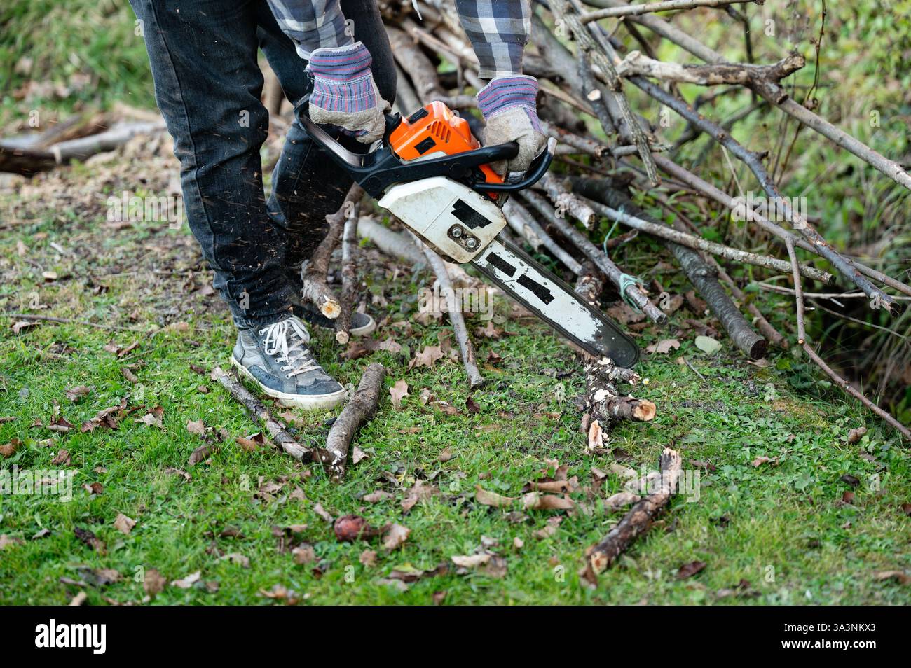 Eine Person bedient geschickt eine Motorsäge, um heruntergefallene Äste in einem üppigen Hinterhof zu trimmen. Das lebhafte Grün erinnert an den frühen Herbst, perfekt für Outdoor-Aktivitäten Stockfoto