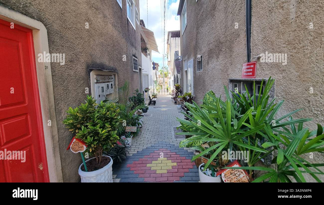 Eine charmante, enge Gasse, die von rustikalen Gebäuden gesäumt ist und eine Vielzahl von üppigen grünen Pflanzen in dekorativen Töpfen beherbergt. - Smartphone-aufgenommenes Stockfoto