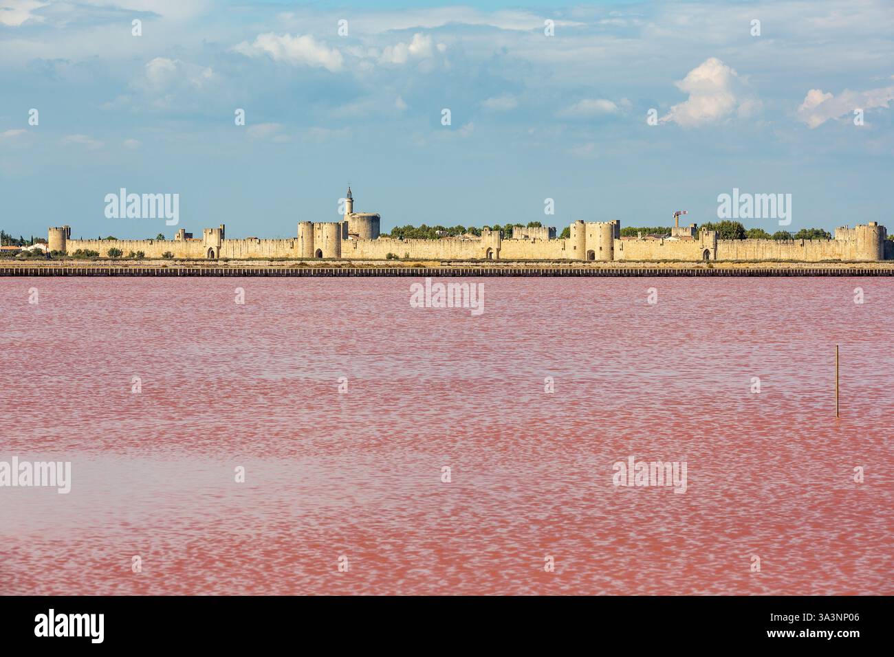 Stadtmauern der mittelalterlichen Stadt Aigues-Mortes in der Camargue. Salzwiesen mit rosa-rotem Wasser im Vordergrund Stockfoto