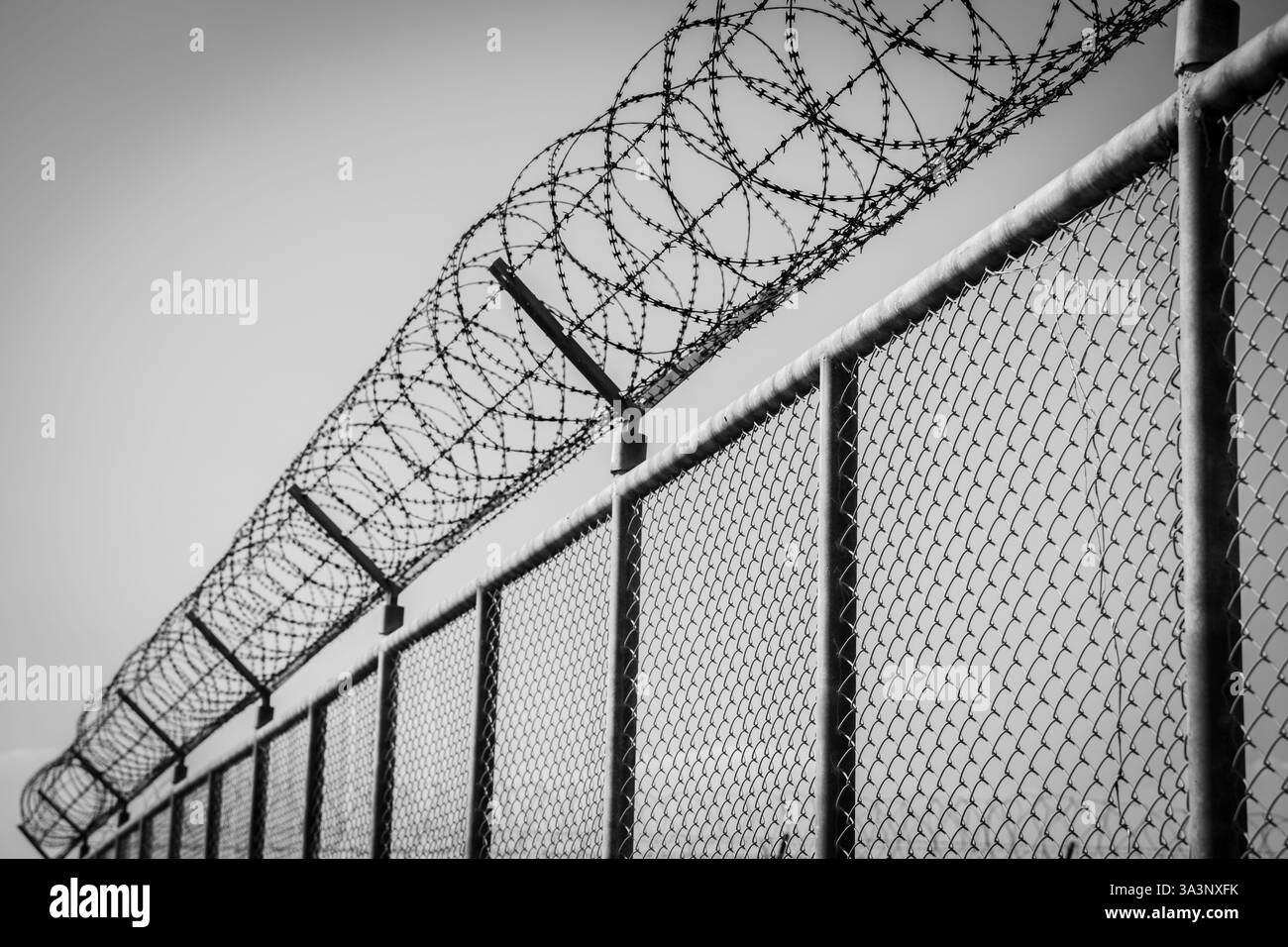 Sicherheitszaun für Gefängnisse. Sicherheitszaun mit Stacheldraht. Stacheldrahtzaun. Barrierefreiheit. Grenzschutzwand. Gefängnis für Verbrecher Stockfoto