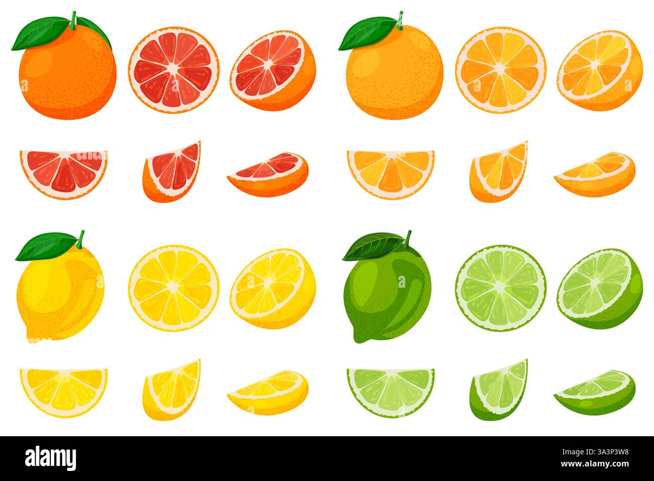 Reife Grapefruit, Orange, Zitrone und Limette ganz und in Scheiben geschnitten, isoliert auf weißem Hintergrund. Vektor flache Zeichentrickillustration. Zitrus tropische Früchte des Stock Vektor