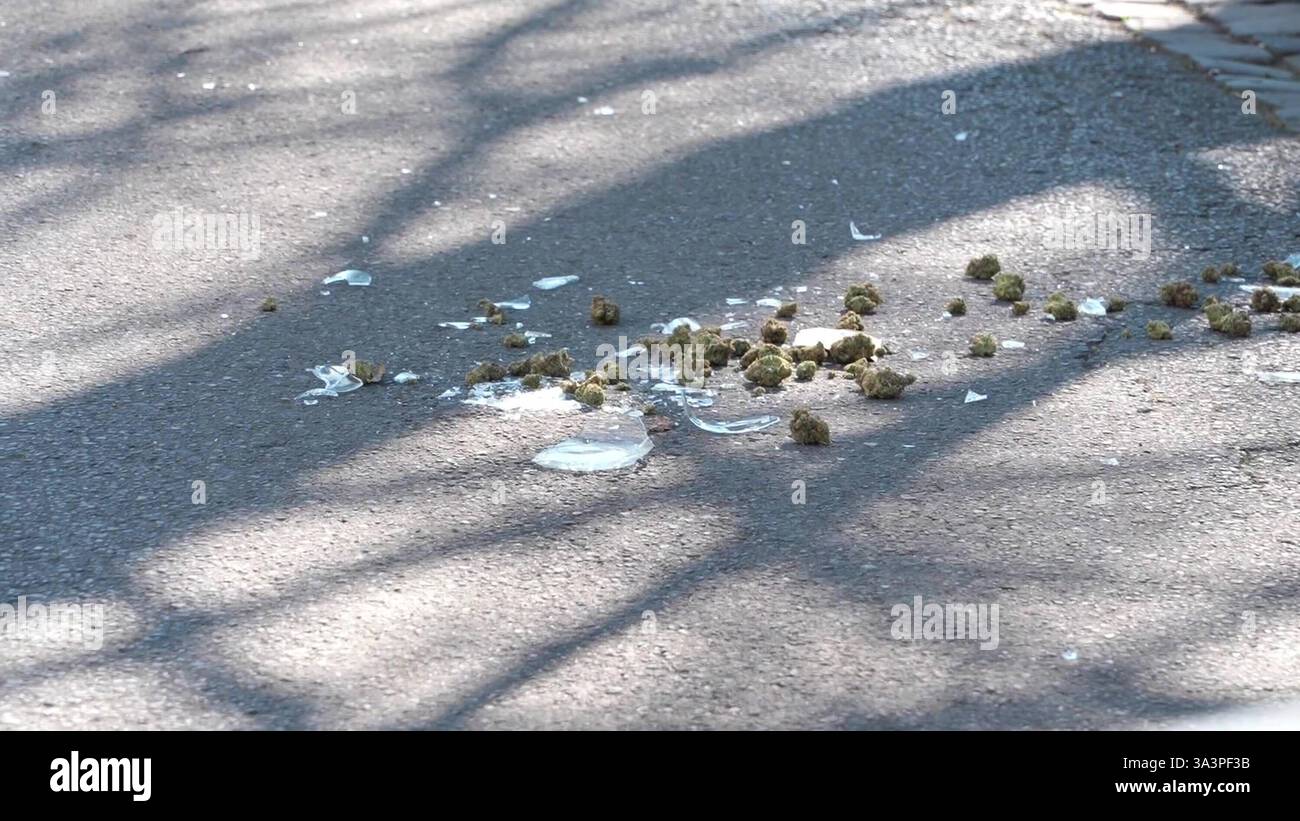 Tödlicher Schusswaffengebrauch Randalierer bedroht Polizeibeamte mit Messer und wird erschossen 7aIMG: 0508284 HERNE: Am heutigen 17. März, gegen 8,45 Uhr, kam es in Herne an der Fritz-Reuter-Straße zu einem Einsatz bezüglich eines Randalierers. Im Rahmen dieses Einsatzes ging nach bisherigem Stand eine männliche Person mit einem Messer auf die eingesetzten Polizeibeamten los. Diese setzten daraufhin die Schusswaffe ein. Der Mann wurde zeitnah notärztlich versorgt, verstarb aber noch am Einsatzort. Aus Neutralitätsgründen übernimmt das Polizeipräsidium Essen unter Sachleitung der Staatsanw Stockfoto
