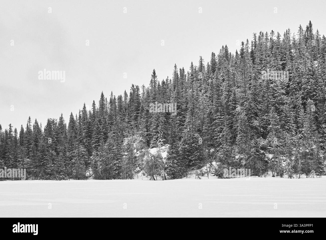 Westlicher Tjuvåsen-See, Teil des Totenåsen-Hügels, Norwegen, im Winter. Stockfoto