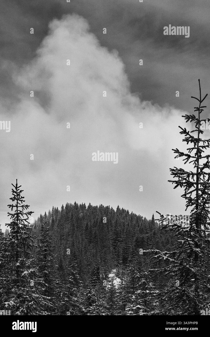 Blick auf den Hügel Fostadvollkampen, Teil des Hügels Totenåsen, Norwegen, März 2025. Stockfoto