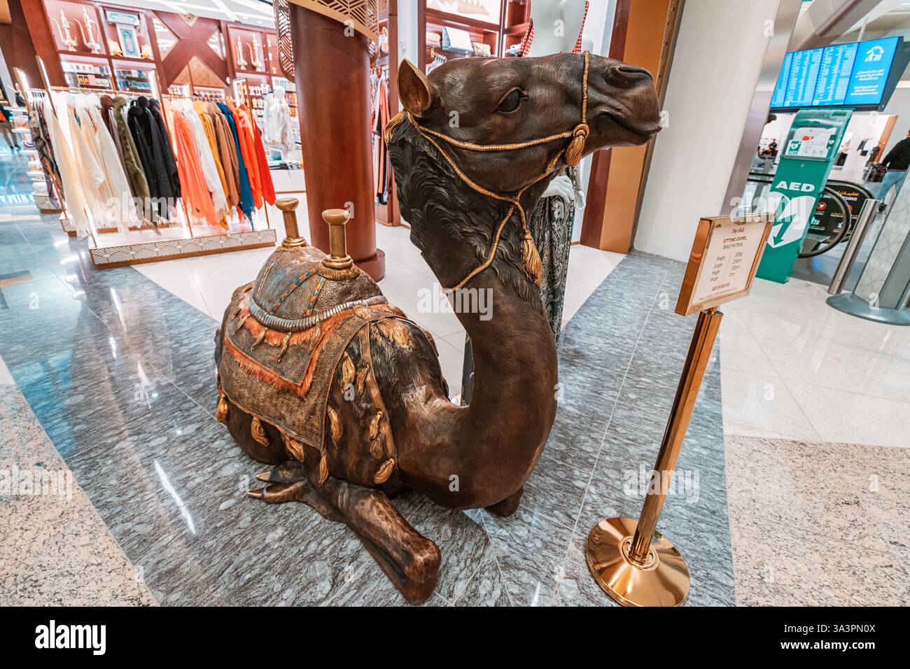 23. Januar 2025, Abu Dhabi, VAE: Nahaufnahme einer Kamelstatue in einem traditionellen arabischen Bekleidungsgeschäft, in dem lokale Kultur und Handwerk vorgestellt werden Stockfoto