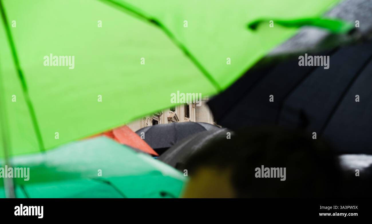 Valencia, Spanien - 17. März 2025. Mascletà pyrotechnisches Feuerwerk auf der Plaza del Ayuntamiento (Rathausplatz), erschossen von Pirotecnia Vulcano. Eine riesige Menschenmenge hilft bei Ekstase und Konzentration mitten im Regen, Lärm und Feuerrauch. Quelle: Roberto Arosio/Alamy Live News. Stockfoto