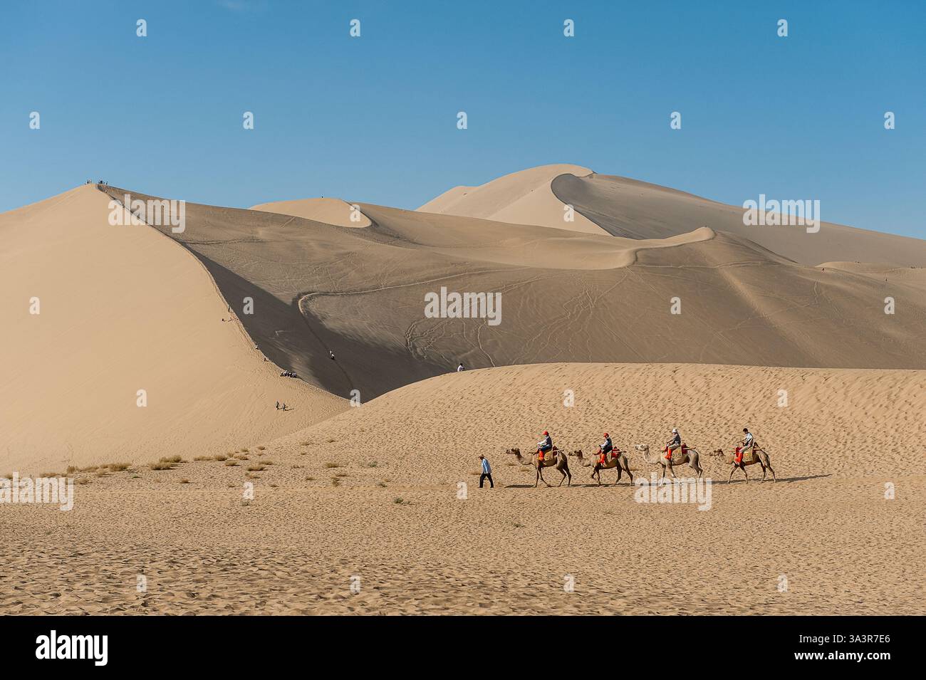 Die berühmten singenden Sanddünen der Wüste Gobi in Dunhuang. Die Mingsha Sanddünen in Dunhuang an der Seidenstraße sind eine wichtige Touristenattraktion. Stockfoto