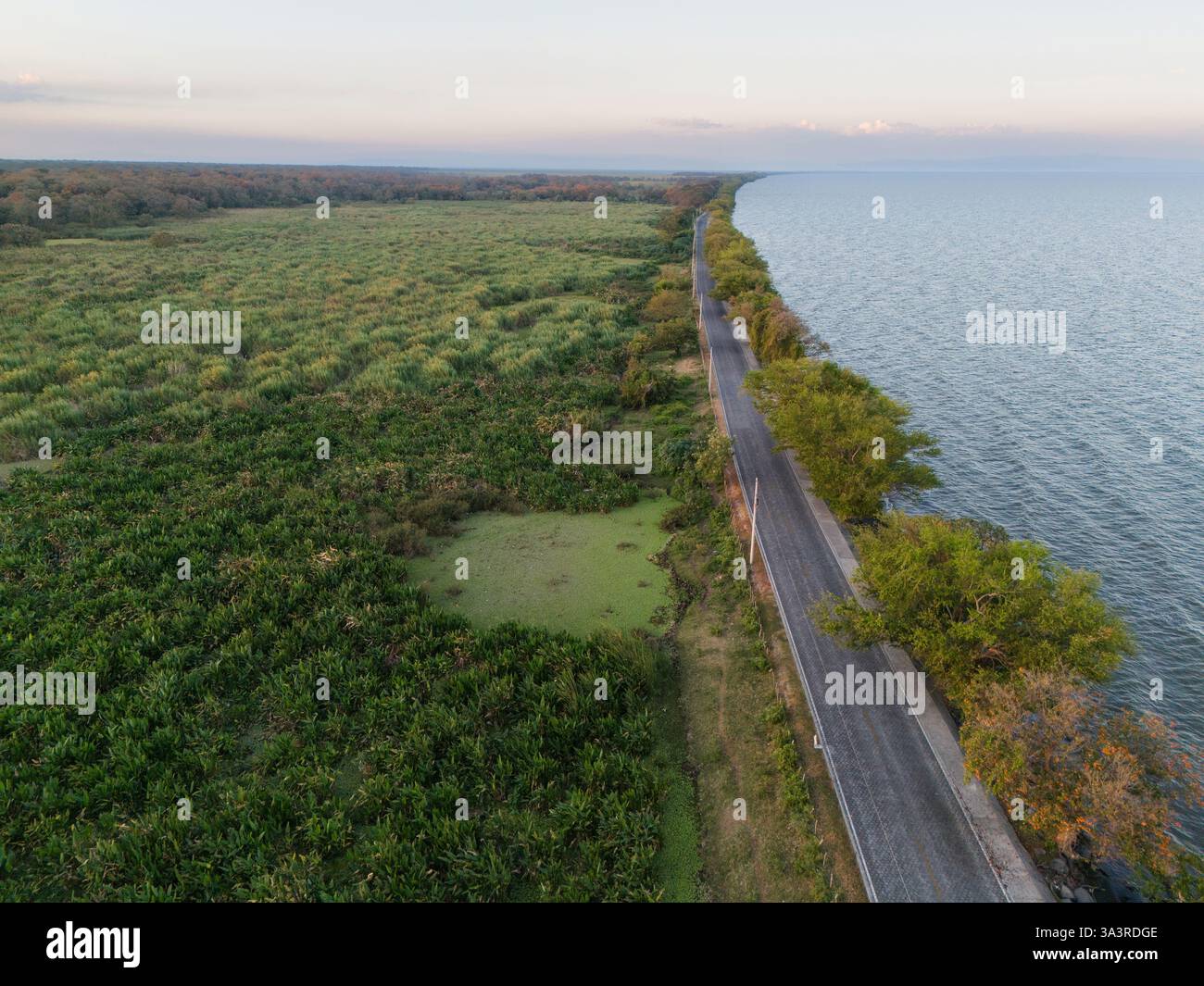 Friedliche Straße verläuft entlang ruhiger Gewässer, umgeben von dichtem Laub und natürlicher Schönheit während des Sonnenuntergangs. Stockfoto