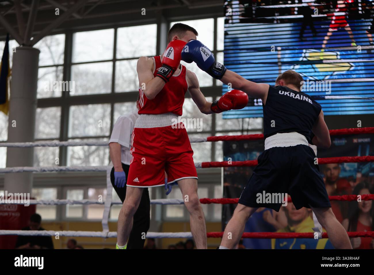 ODESSA, UKRAINE - 10. März 2025: Ukrainischer Boxcup. Endgewicht bis zu 48 kg, Blue Andrey Efimovich Red Andrey Lopuschenko. Harter blutiger Kampf Stockfoto