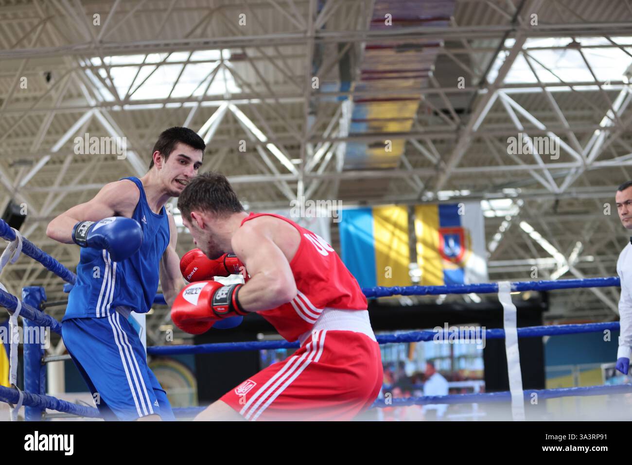 ODESSA, UKRAINE - 10. März 2025: Ukrainischer Boxcup. Endgewicht bis zu 63 kg, Red - Daniil Zamorilo BLU - Nikita Pogozii. Harter, blutiger Kampf Stockfoto