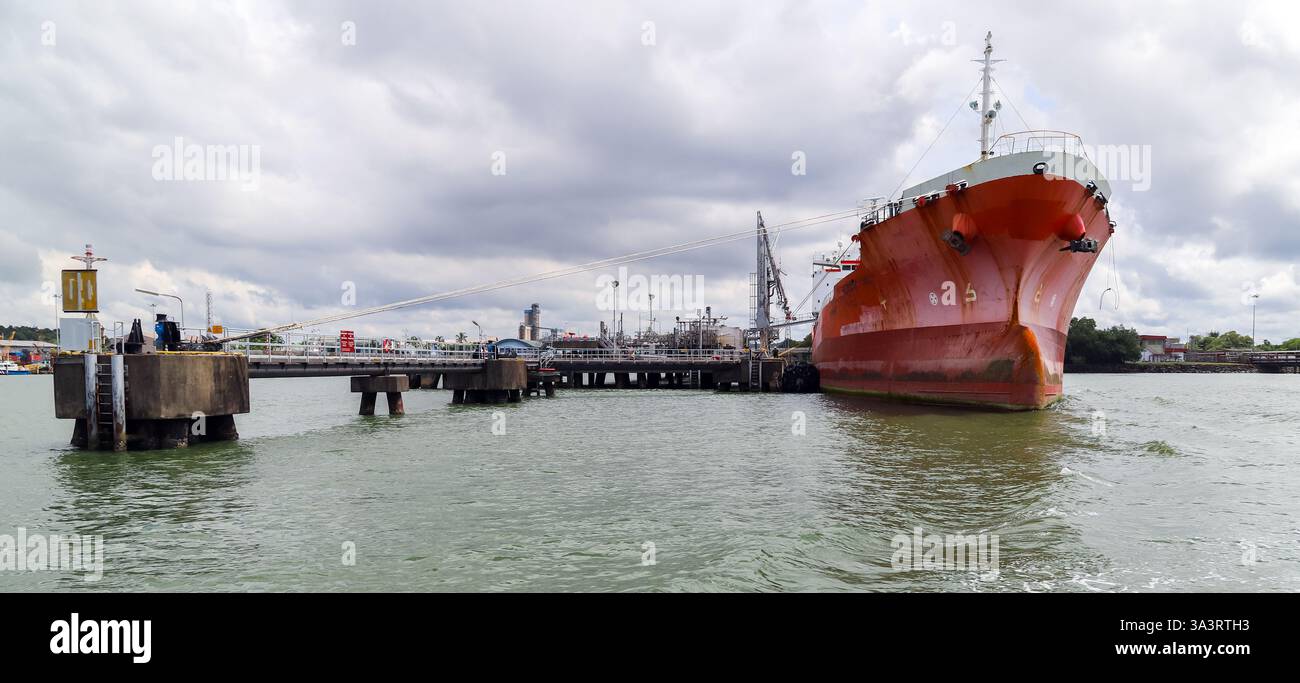 Ein pulsierendes rotes Frachtschiff liegt in einem Industriehafen unter bewölktem Himmel an und betont den Seehandel und die Infrastruktur. Stockfoto