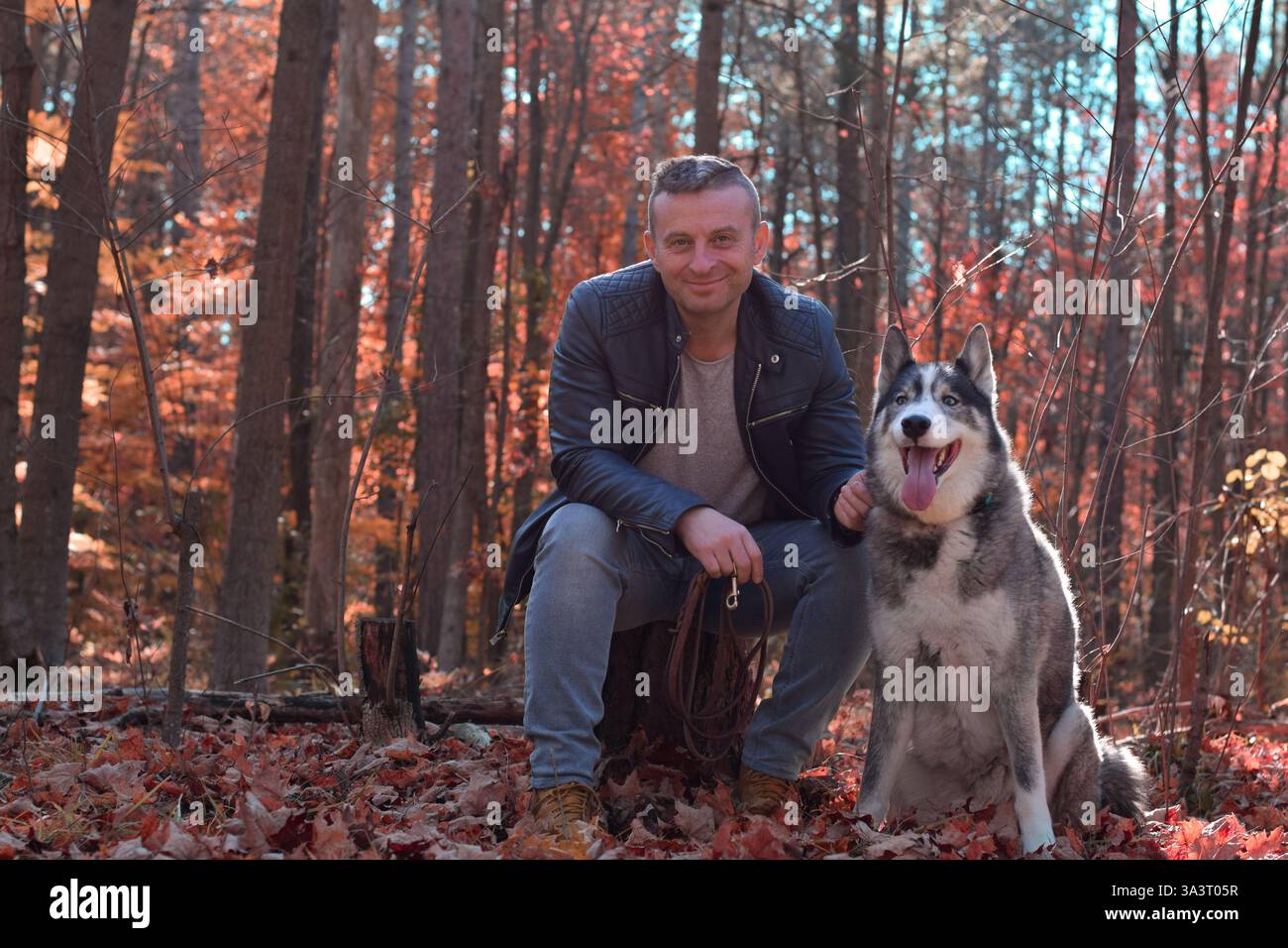 Mann mittleren Alters, der auf einem Baumstumpf in einem Herbstwald sitzt und mit einem Husky-Hund auf die Kamera blickt Stockfoto