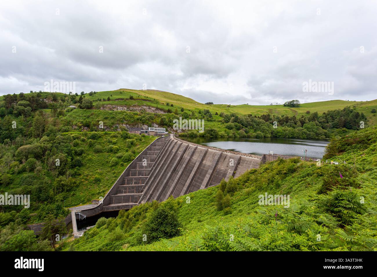 Das Clywedog Reservoir, oder Llyn Clwywedog, Mitte der 1960er Jahre, wurde gebaut, um den Fluss Severn zu regulieren und vor Hochwasser zu schützen Stockfoto