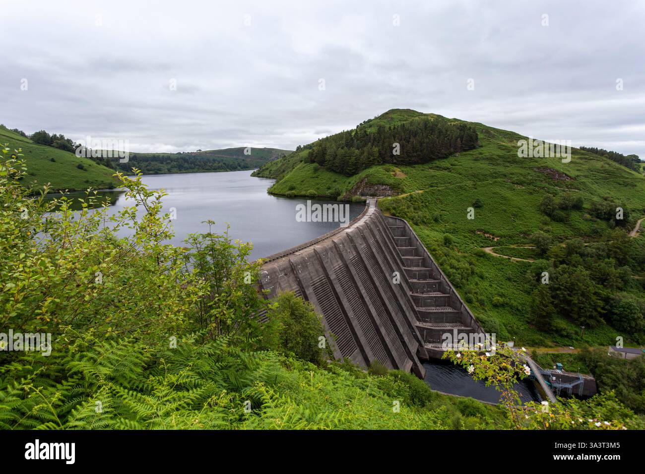 Das Clywedog Reservoir, oder Llyn Clwywedog, Mitte der 1960er Jahre, wurde gebaut, um den Fluss Severn zu regulieren und vor Hochwasser zu schützen Stockfoto