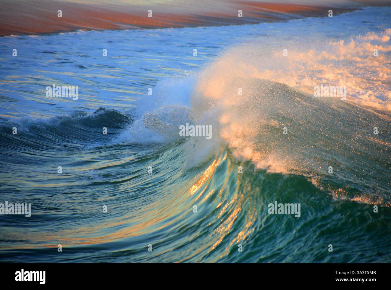 Portugal, Algarve, Sagres. Große Welle, die auf einen Strand gespült wird, der vom Sonnenuntergang beleuchtet wird. Flacher Fokus für Effekte. Stockfoto