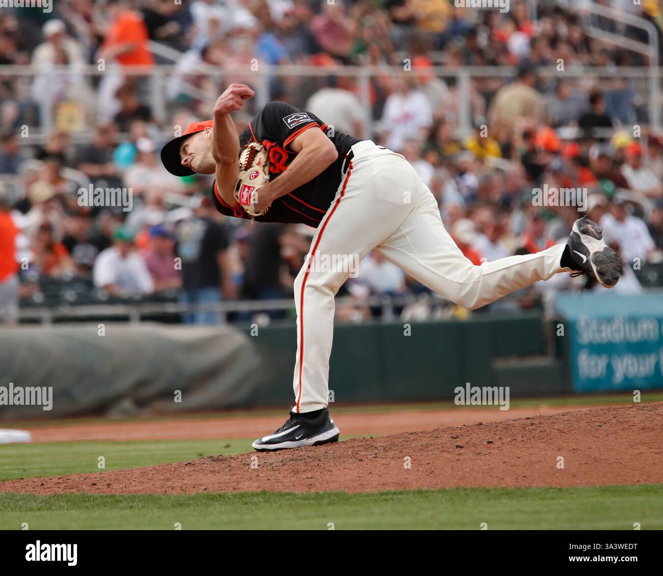 Scottsdale, Arizona, USA. März 2025. Der San Francisco Giants Pitcher Tyler Rogers (71) spielt im Frühjahr-Training der Cactus League zwischen den Athletic's und den San Francisco Giants im Scottsdale Stadium in Scottsdale, Arizona. Michael Cazares/CSM/Alamy Live News Stockfoto