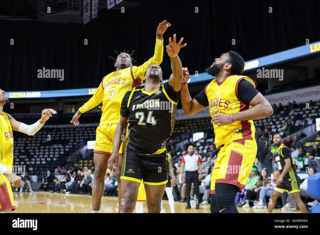 London, Kanada. März 2025. Die London Lightning besiegen die Newfoundland Rogues 125-108 am Canada Life Place. Calvin Godfrey (24), David Jasson (3) und Jakorie Smith (17) von den Neufundland Rogues suchen im 3. Quartal nach einer Rebound. Quelle: Luke Durda/Alamy Live News Stockfoto