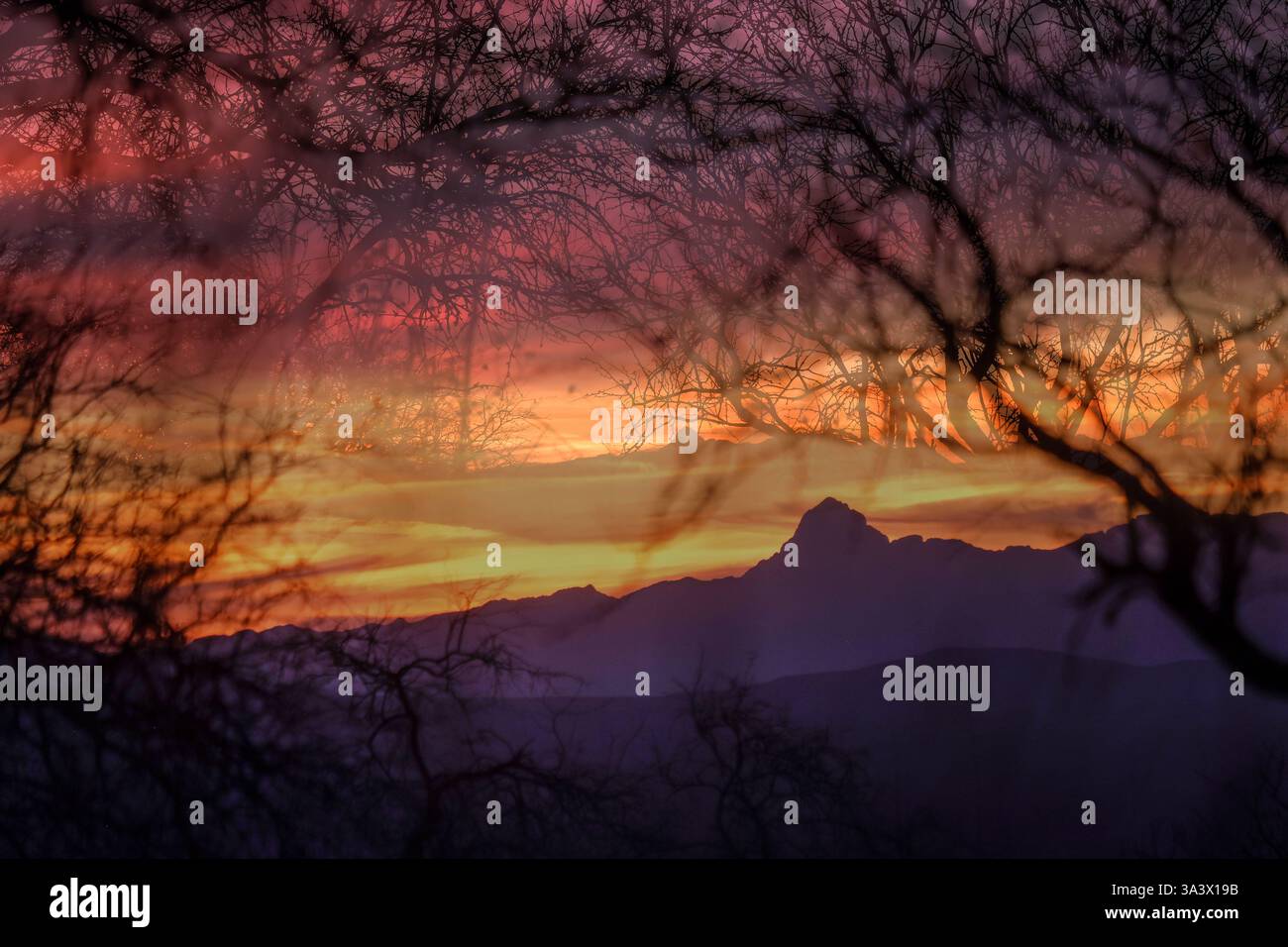 Sonnenuntergang in den Baboquivari Mountains im südlichen Arizona, USA Stockfoto